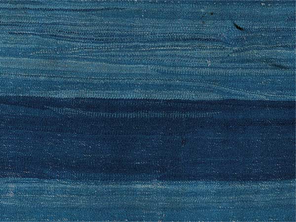 Marcus Manta central pane